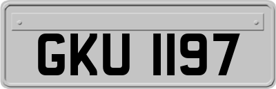 GKU1197