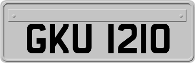 GKU1210
