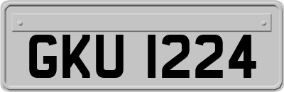 GKU1224