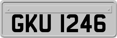 GKU1246