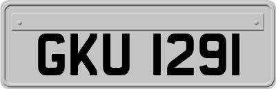 GKU1291