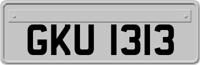 GKU1313
