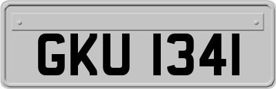 GKU1341