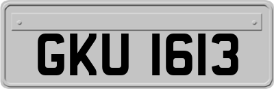 GKU1613