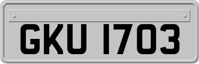 GKU1703