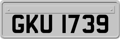 GKU1739