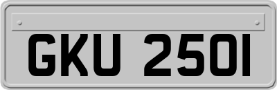 GKU2501