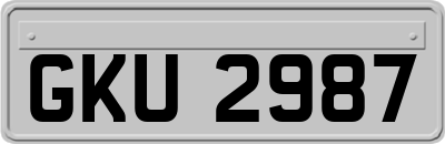 GKU2987