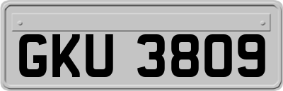 GKU3809