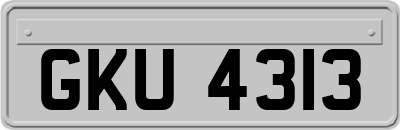 GKU4313