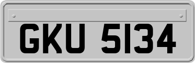 GKU5134