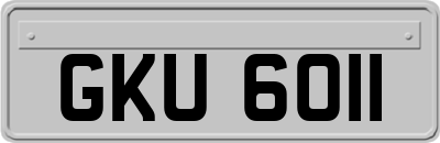 GKU6011