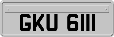 GKU6111