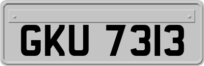 GKU7313