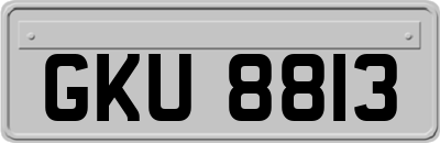 GKU8813