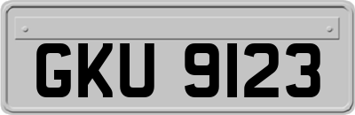 GKU9123