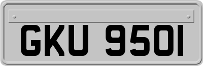 GKU9501