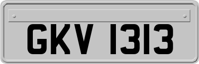 GKV1313