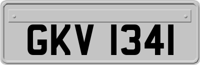 GKV1341