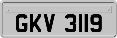 GKV3119