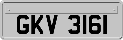 GKV3161