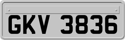 GKV3836