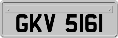 GKV5161