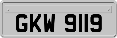 GKW9119