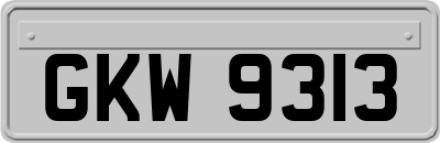 GKW9313