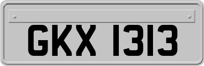 GKX1313
