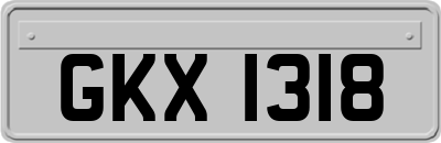GKX1318