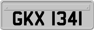 GKX1341