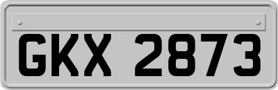 GKX2873