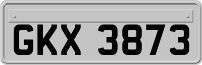 GKX3873