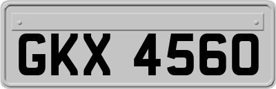 GKX4560