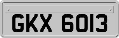 GKX6013