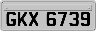 GKX6739