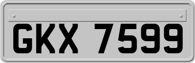 GKX7599