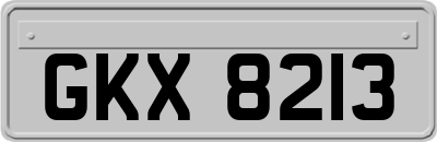 GKX8213