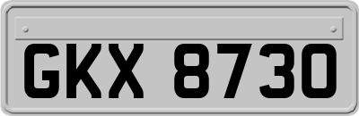 GKX8730