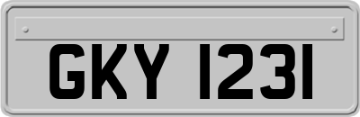 GKY1231