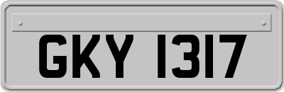 GKY1317