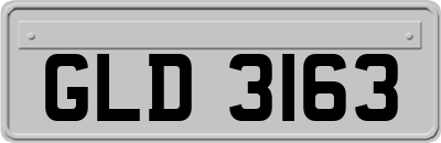 GLD3163