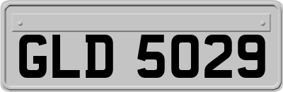 GLD5029