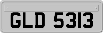 GLD5313