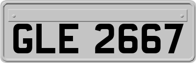 GLE2667