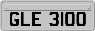 GLE3100