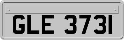 GLE3731