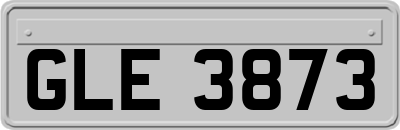 GLE3873