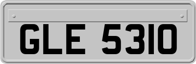 GLE5310